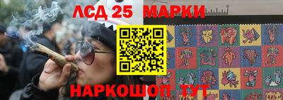 крисы Коммунар