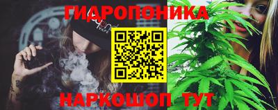 спиды Кингисепп