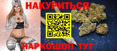 спиды Кингисепп