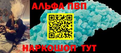 спиды Кингисепп