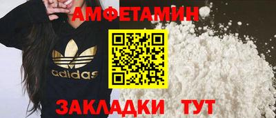 спиды Кингисепп