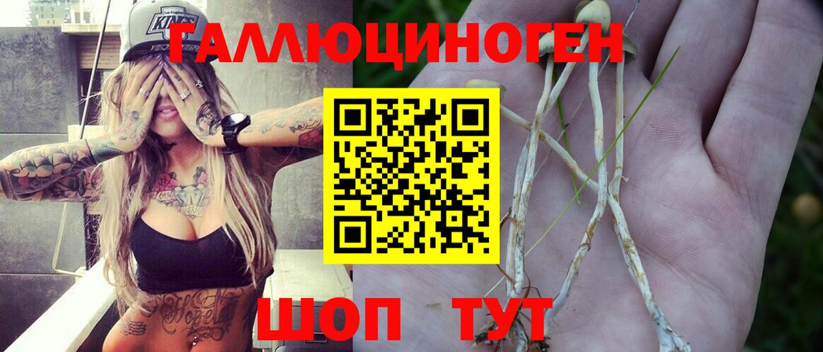 Ефремов  Галлюциногенные грибы прущие грибы  Вход с VPN 